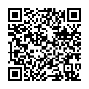 Passport QR code
